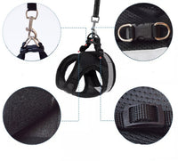 Colete Regulável e Super Confortável para Cães e Gatos